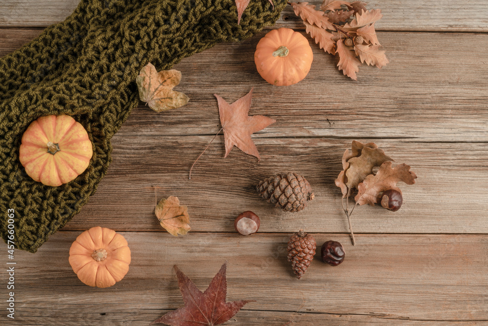 autumn background with a wooden table decorated with dried leaves and pumpkins