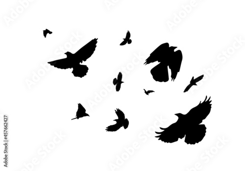 A flock of flying birds. Monochrome flying doves. Vector illustration