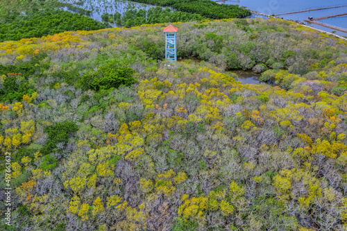 Aerial view of Ru Cha mangroves, Hue, Vietnam