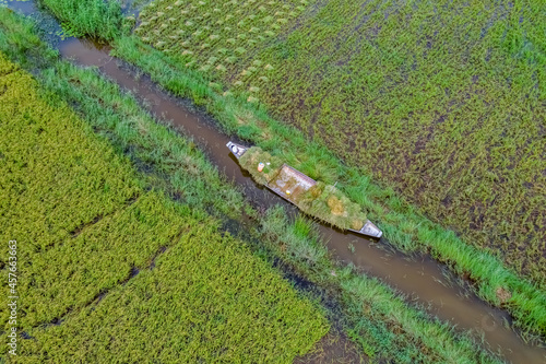 Ru Cha rice field, Hue, Vietnam