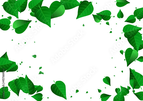 Mint Foliage Flying Vector White Background