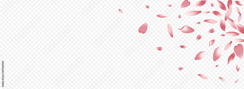 Red Blossom Vector Panoramic Transparent