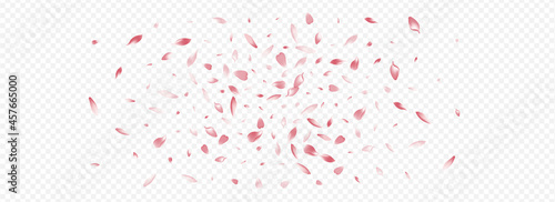 Pink Heart Vector Panoramic Transparent