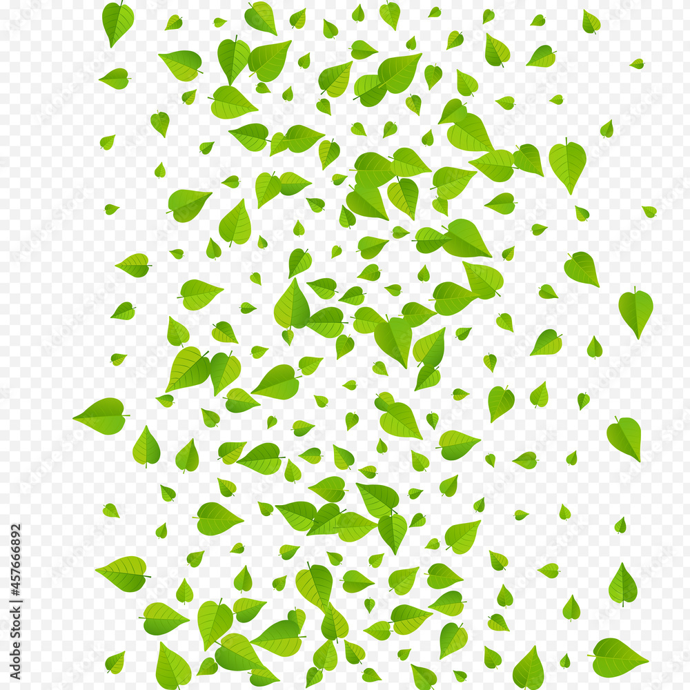 Green Foliage Tree Vector Transparent Background