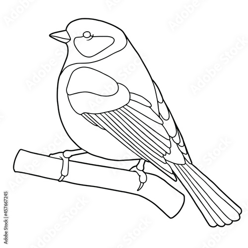 Tit. Small bird. Coloring page. Black outline. 
