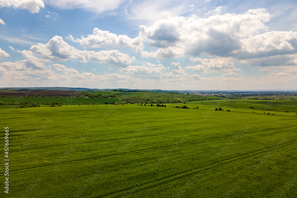 Aerial landscape view of green cultivated agricultural fields with growing crops on bright summer day.