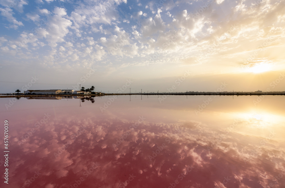 Reflections of buildings and palm trees in the red salt lakes of Salinas de San Pedro del Pintar, Murcia, Spain