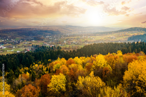 View from above of dense pine forest with canopies of green spruce trees and colorful yellow lush canopies in autumn mountains at sunset.