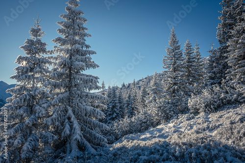 Fotografie Bright sunlight in wintry mountains, Tatra National Park, Poland