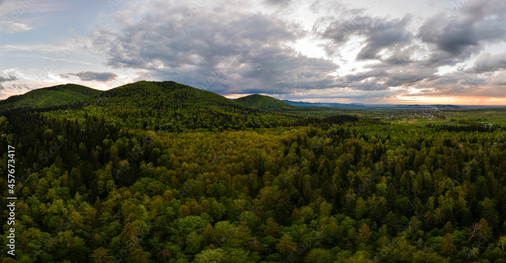 Aerial wide panoramic view of dark mountain hills covered with green mixed pine and lush forest in evening.
