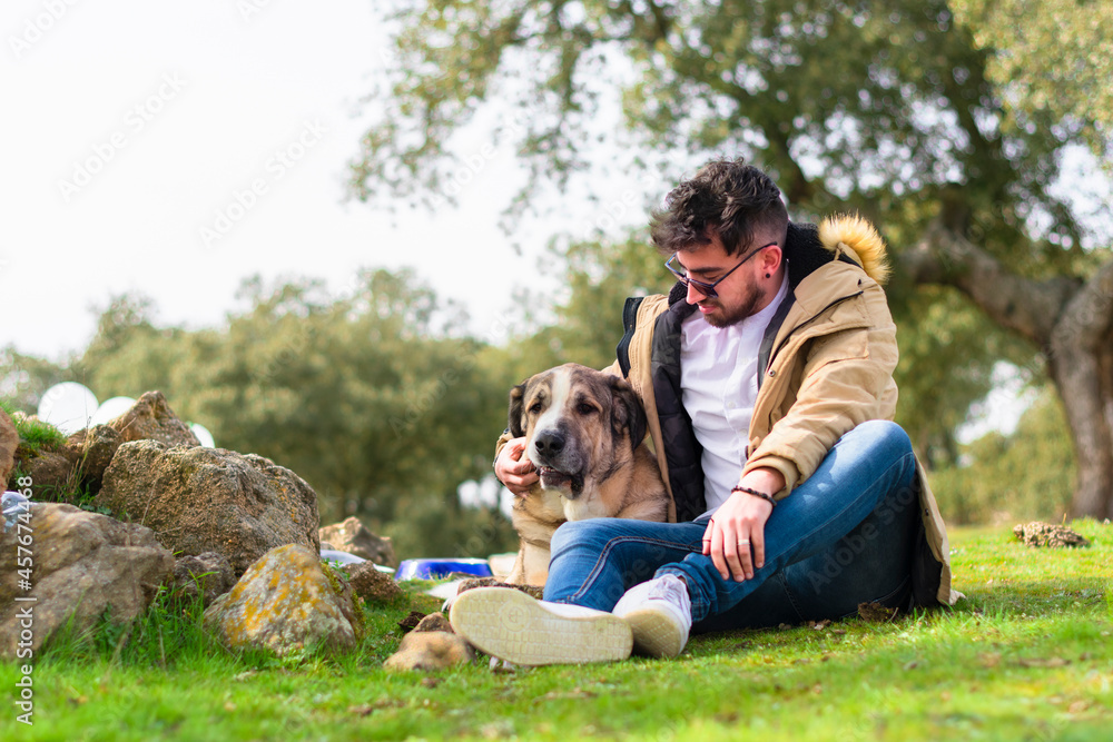 young boy with his spanish mastiff dog in the park sitting on the grass
