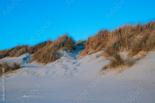 sand dunes at the ocean