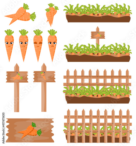 Attractive vector set of farming vegetable of carrots. There are board, emoji, growing, carrot icon with colors.
