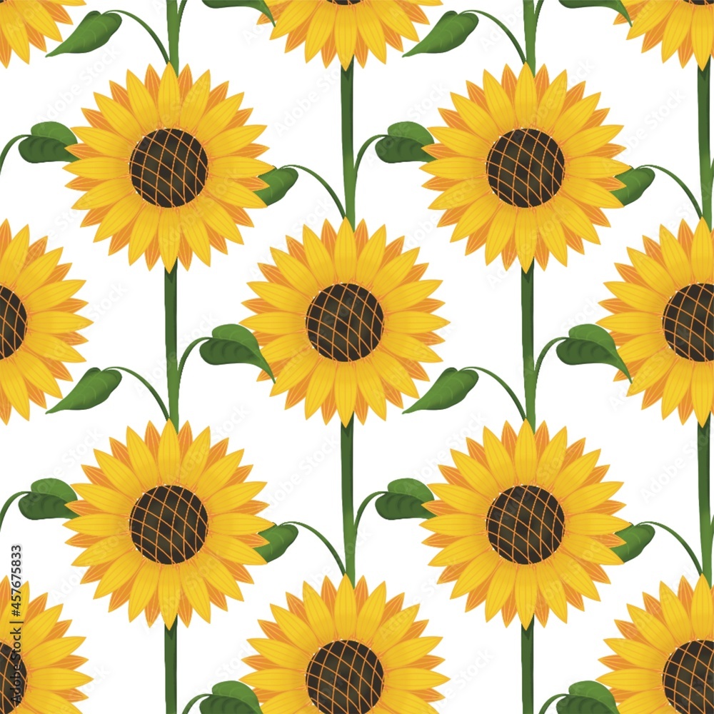 pattern with sunflower flowers on a white background. pattern with sunflower flowers on a white background.