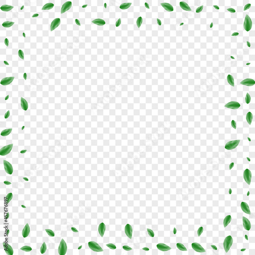 Greenish Sheet Background Transparent Vector. Plant Growing Frame. Process Illustration. Green Branch Card. Leaf Motion.