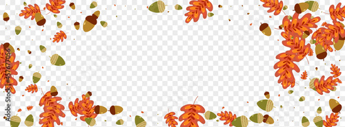 Golden Leaves Background Transparent Vector. Foliage Elm Texture. Yellow Leaf. Pattern Frame. Gold Acorn Object.