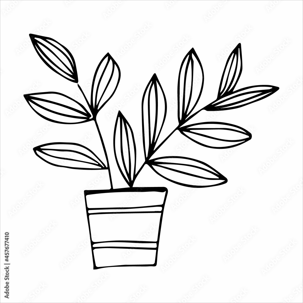Hand drawn indoor plant in a pot, doodle design. Home plants. Illustration for print, web, mobile and infographics. Hand drawn indoor plant in a pot, doodle design. Home plants. Illustration for print, web, mobile and infographics.