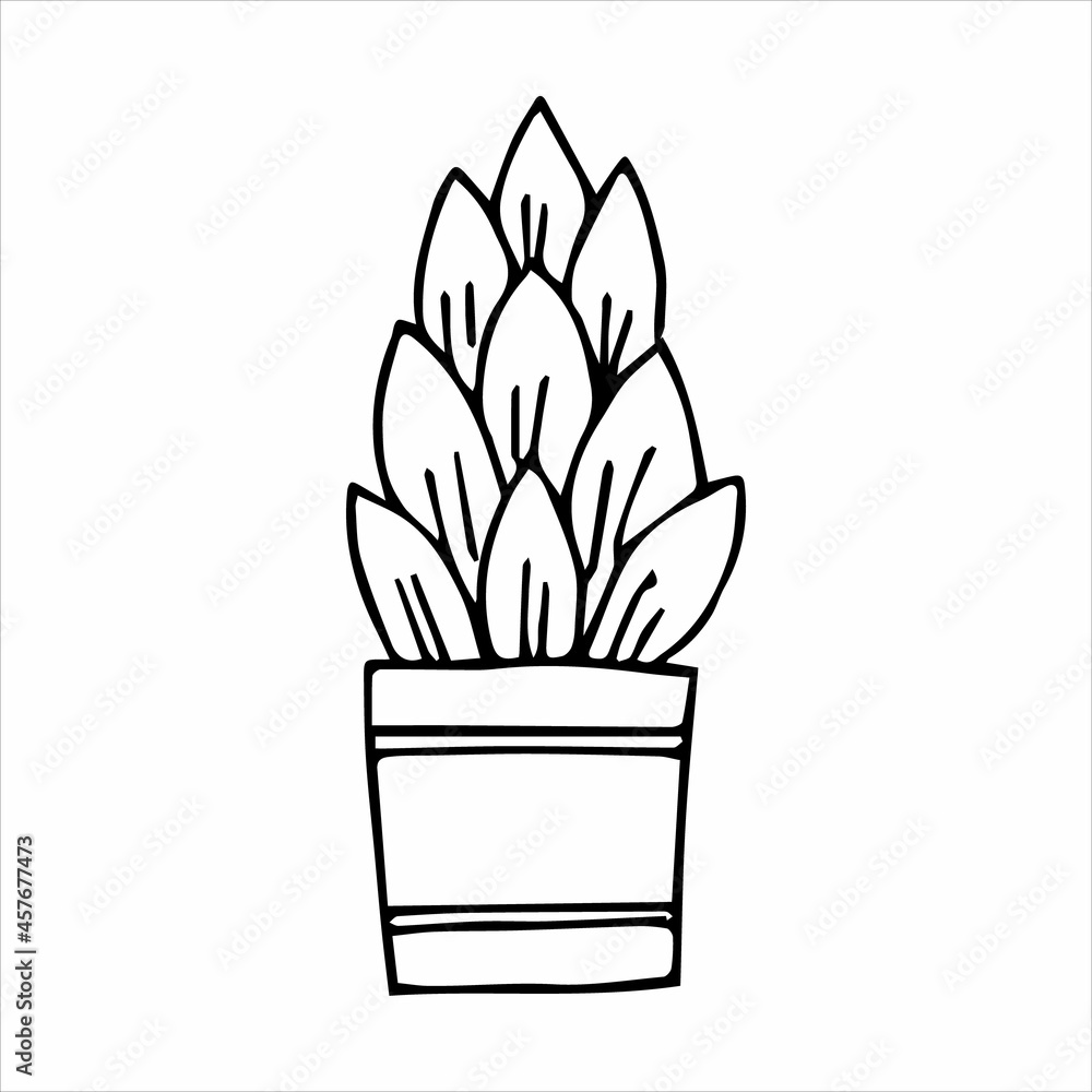 Hand drawn indoor plant in a pot, doodle design. Home plants. Illustration for print, web, mobile and infographics. Hand drawn indoor plant in a pot, doodle design. Home plants. Illustration for print, web, mobile and infographics.