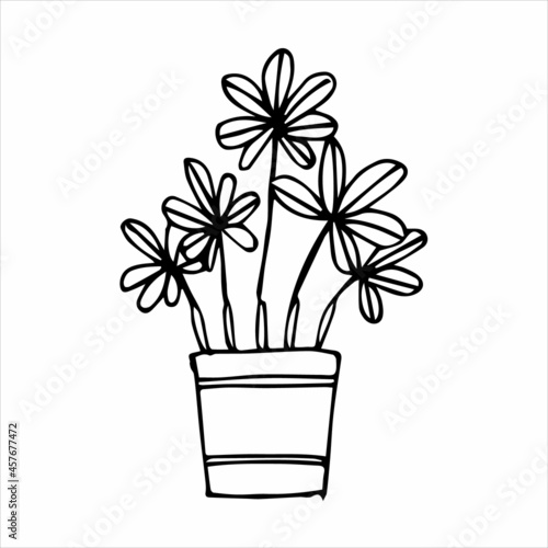 Hand drawn indoor plant in a pot, doodle design. Home plants. Illustration for print, web, mobile and infographics.