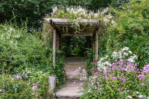 Flowers drape over and surround an old wooden pergola in the garden.