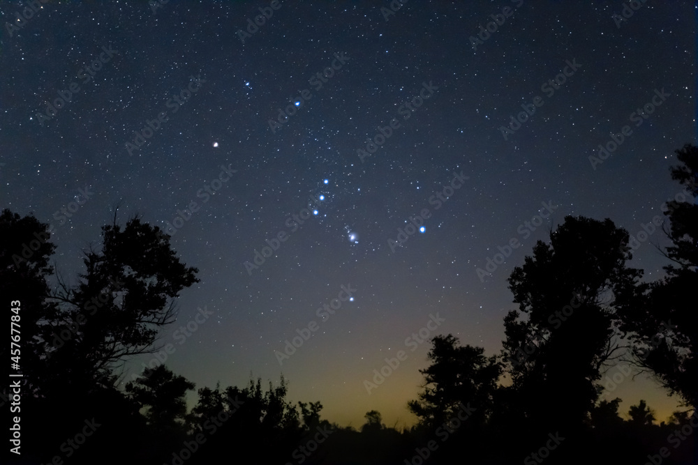 Fototapeta premium closeup Orion constellation on night starry sky above forest silhouette, night natural landscape