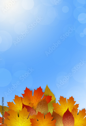 yellow autumn leaves background