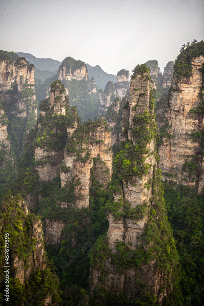 Vertical image of the karst limestone rocks of Avatar mountains (name of the mountains) during the sunset in Wulingyuan national forest park, Zhangjiajie, Hunan, China. Beautiful scenery, Unesco