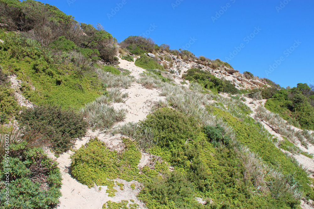 seal bay - kangaroo island - australia seal bay - kangaroo island - australia
