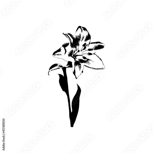 lily flower black icon