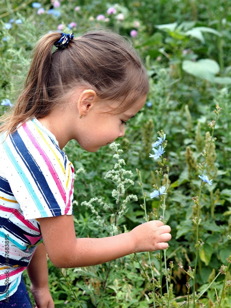 A little girl walks and looks at plants in the field.Communication of a child with nature. A little girl walks and looks at plants in the field.Communication of a child with nature.