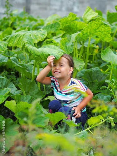 Little girl sits under a leaf of a large pumpkin plant.Communication of a child with nature.
