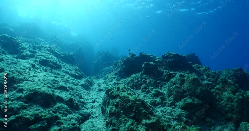 underwater scenery with sun beams and rays blue ocean relaxing scenery underwater scenery with sun beams and rays blue ocean relaxing scenery