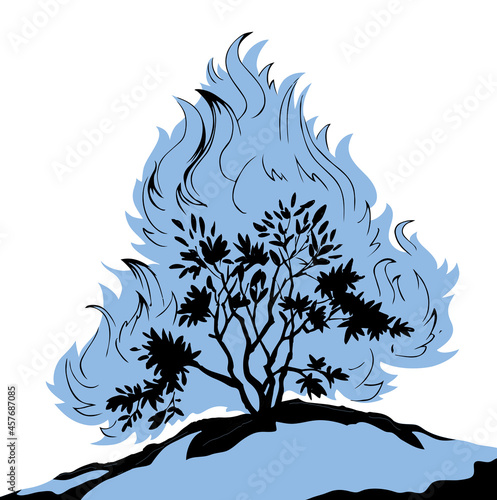 Burning bush. Vector drawing icon