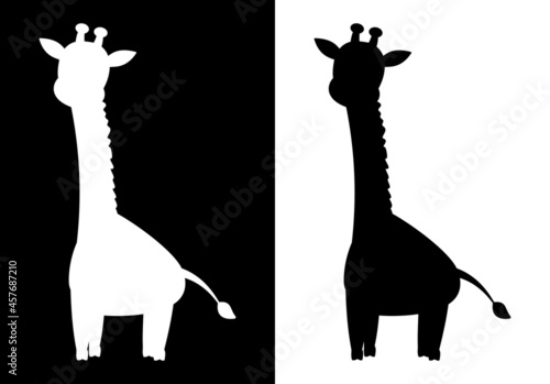 Giraffe in profile with shadow shape of a color in black and white 