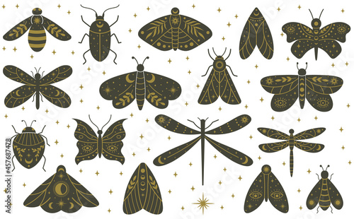 Mystical boho moth butterfly dragonfly hand drawn insects. Magical witchcraft dragonfly, butterfly, beetles and moth vector illustration set. Witchcraft mystical wild insects