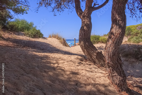 The most beautiful beaches of Italy  Punta Prosciutto in Apulia. The coastline is a corner of paradise in the heart of Salento. At the top of the dunes up to 10-12 metres high appear junipers.
