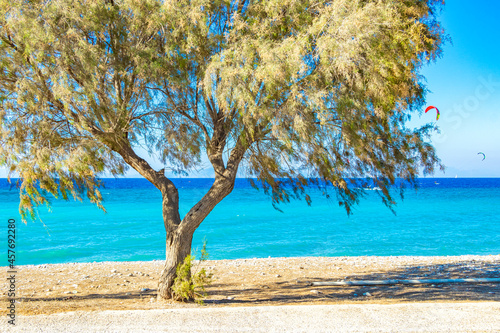 Kremasti beach Rhodes Greece turquoise water and park trees.
