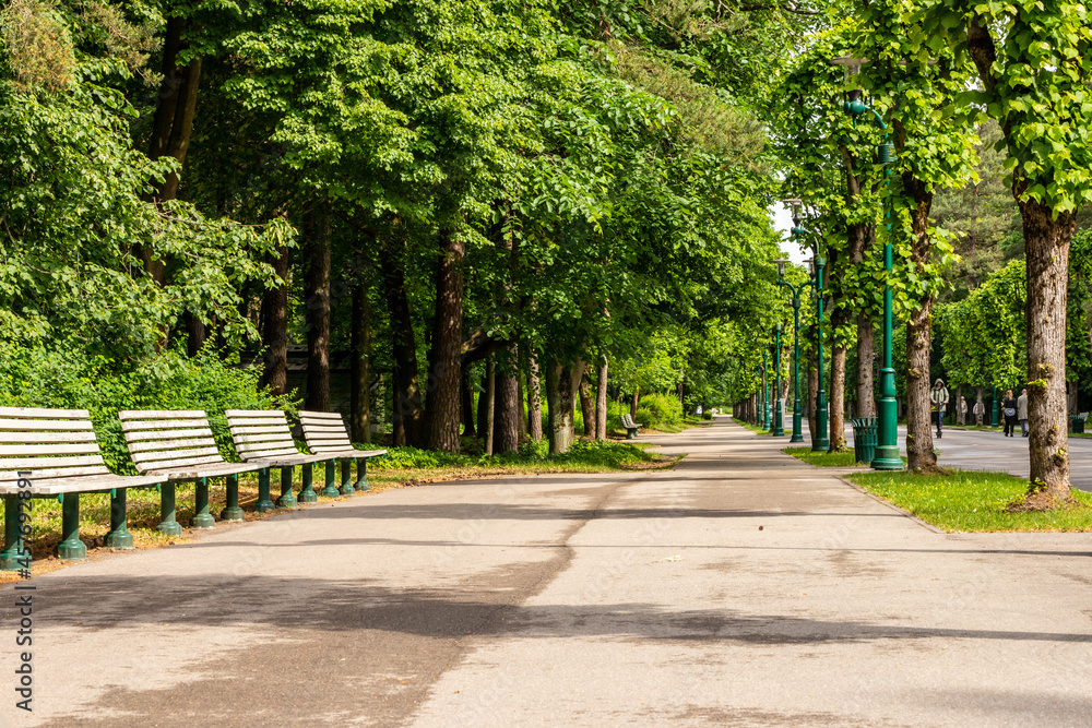 Walkway in the Forest Park, Riga (Mežaparks) at summer. Low angle photo of alley in the park lined with high green trees, romantic lampposts, benches and lawn.