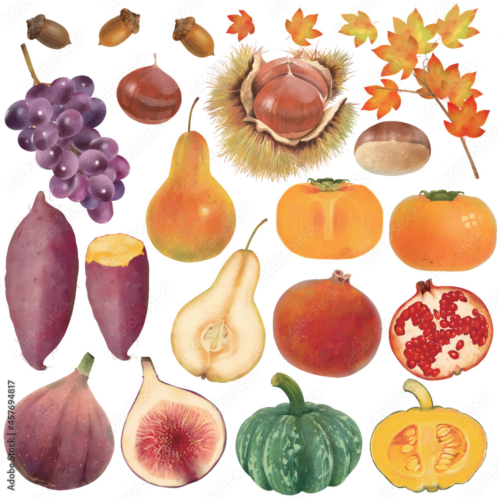 果物や野菜や木の実の美味しい秋の味覚シリーズイラストベクター素材 Stock Vector Adobe Stock