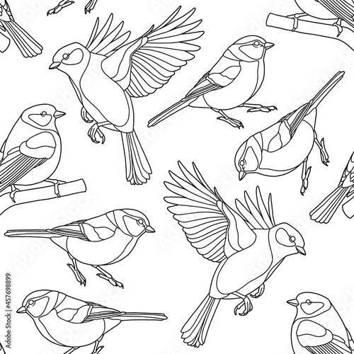 Seamless background. Tits isolated on white background. Small birds. Black line. 