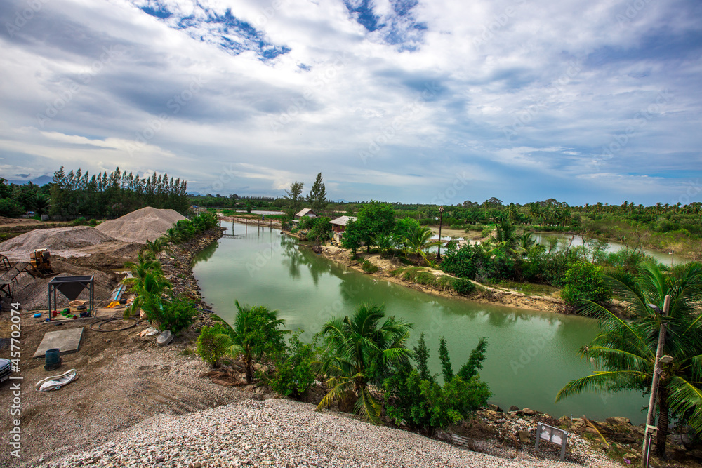 Fototapeta premium Natural background of coconut trees planted by the river, providing shade and edible fruit.