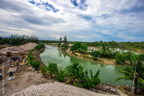 Natural background of coconut trees planted by the river, providing shade and edible fruit.