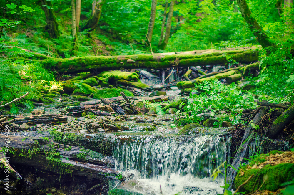 Fototapeta premium Magic waterfall in the forest.