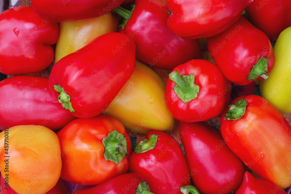 Colored bell peppers on the counter in the supermarket. A lot of peppers in a heap. Natural background. Colored bell peppers on the counter in the supermarket. A lot of peppers in a heap. Natural background.