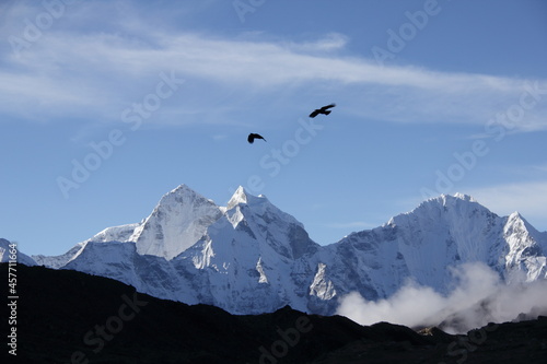 birds over the mountains (Himalayas) © Neil