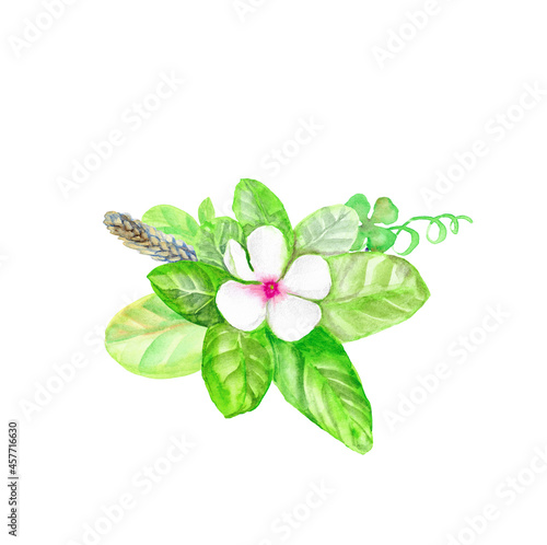 watercolor flower combination with green leaves with white flower, wheat ear,
isolated on white background,for design or decoration