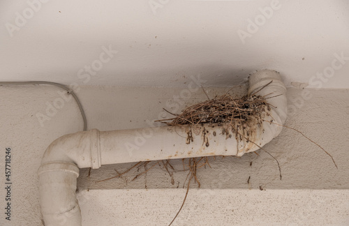 birdhouse on concrete wall. abandoned bird nest. photo