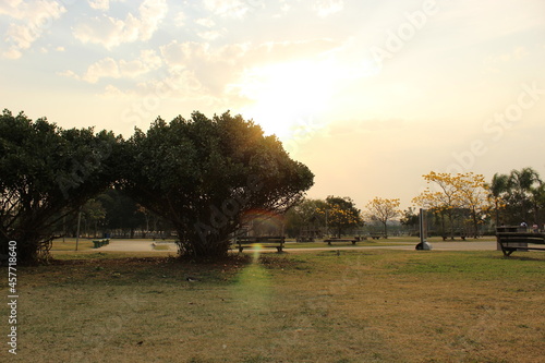 golden hour in the park with sunbeams