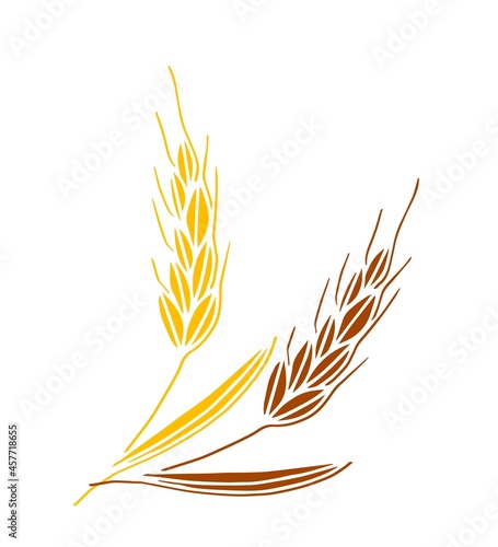 Simple hand-drawn vector drawing. Brown, gold spikelet of wheat isolated on white background. Cereals, flour products. For printing, label, logo, shop, bakery.