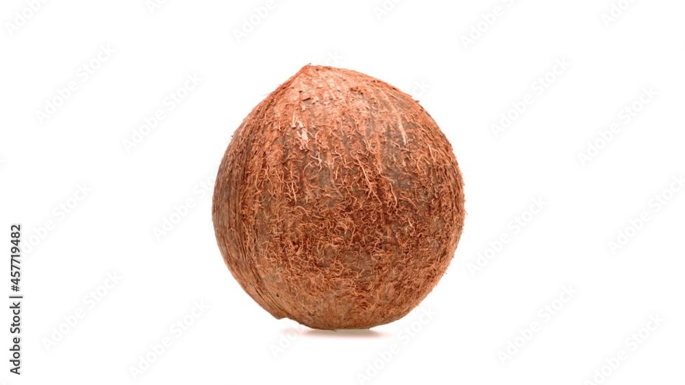 Closeup of coconut isolated on white background. Closeup of coconut isolated on white background.